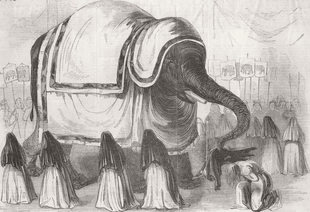 INDIA. Sacred Elephant choosing Rajah wife, Nagpur 1846 old antique print